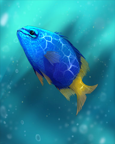 Damselfish Badge - Crossword Cove HD