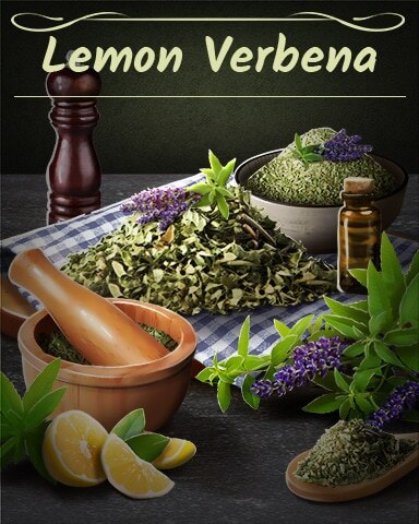 Lemon Verbena Badge - Jungle Gin HD