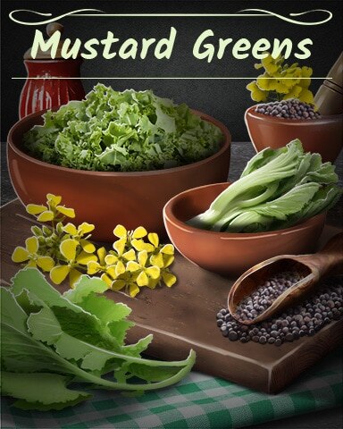 Mustard Greens Badge - Word Whomp HD