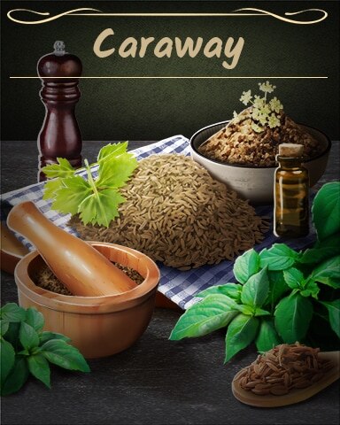 Caraway Badge - Canasta HD