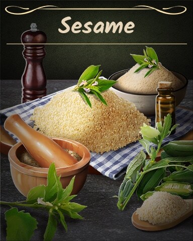 Sesame Badge - Mahjong Safari HD