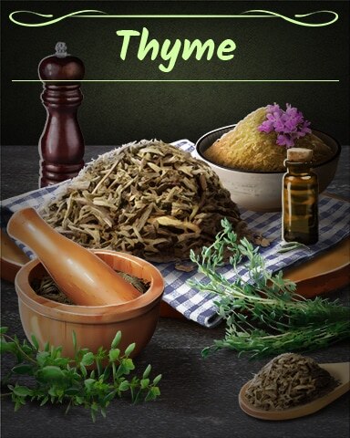 Thyme Badge - Aces Up! HD