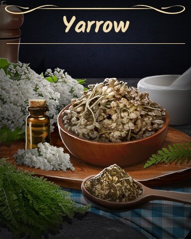 Yarrow Badge - Word Whomp HD