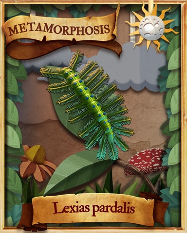 Archduke Caterpillar Metamorphosis Badge - Quinn's Aquarium