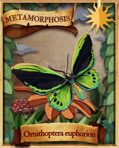 Cairns Birdwing Butterfly Metamorphosis Badge - Mahjong Safari HD
