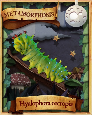 Cecropia Caterpillar Metamorphosis Badge - Word Whomp HD