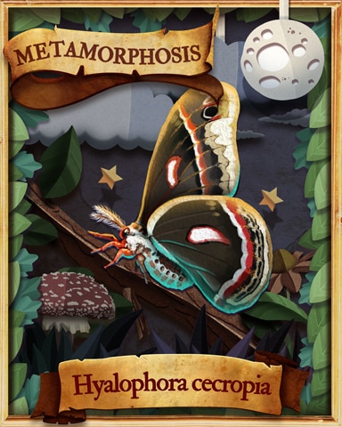 Cecropia Moth Metamorphosis Badge - Pogo™ Slots