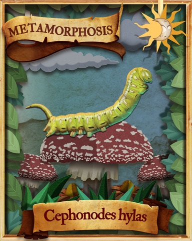 Coffee Clearwing Caterpillar Metamorphosis Badge - World Class Solitaire HD