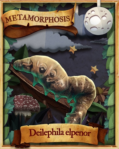 Elephant Hawk Moth Caterpillar Metamorphosis Badge - Word Whomp HD