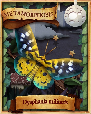 False Tiger Moth Metamorphosis Badge - Spades HD