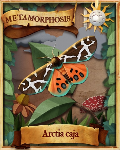 Garden Tiger Moth Metamorphosis Badge - Tri-Peaks Solitaire HD