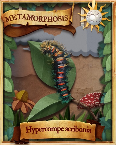 Giant Leopard Moth Caterpillar Metamorphosis Badge - Claire Hart: Secret In The Shadows