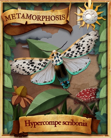 Giant Leopard Moth Metamorphosis Badge - Snowbird Solitaire