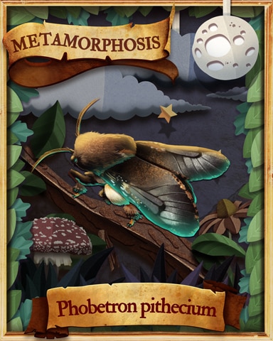 Hag Moth Metamorphosis Badge - Canasta HD