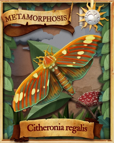 Hickory Horned Devil Moth Metamorphosis Badge - Poppit!™ HD