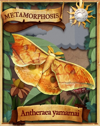 Japanese Silk Moth Metamorphosis Badge - Tri-Peaks Solitaire HD