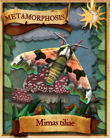 Lime Hawk Moth Metamorphosis Badge - Mahjong Safari HD