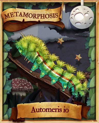 Lo Moth Caterpillar Metamorphosis Badge - StoryQuest