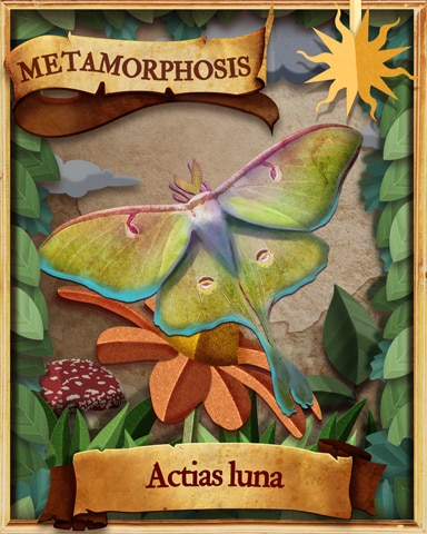 Luna Moth Metamorphosis Badge - Mahjong Sanctuary