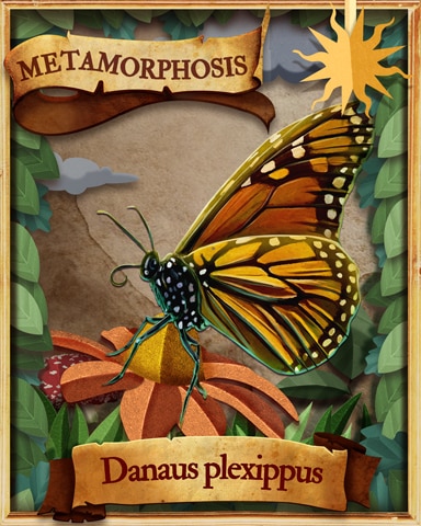 Monarch Butterfly Metamorphosis Badge - Rainy Day Spider Solitaire HD
