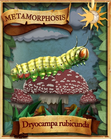 Rosy Maple Moth Caterpillar Metamorphosis Badge - Mahjong Safari HD
