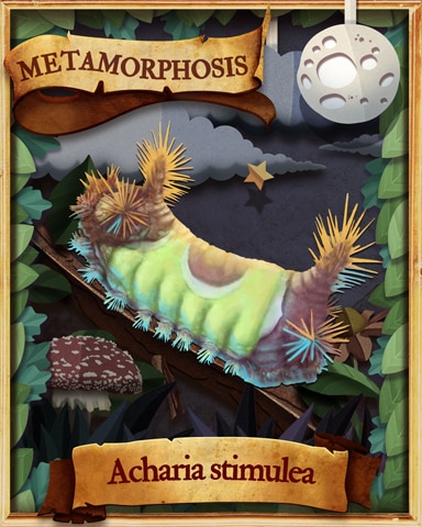 Saddleback Caterpillar Metamorphosis Badge - Pogo Daily Sudoku
