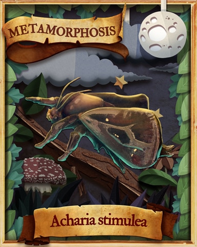 Saddleback Moth Metamorphosis Badge - Sweet Tooth Town