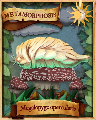 Southern Flannel Caterpillar Metamorphosis Badge - Poppit! Bingo