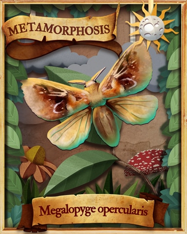 Southern Flannel Moth Metamorphosis Badge - World Class Solitaire HD