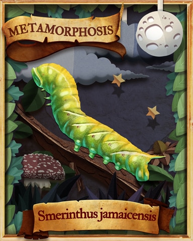 Twin Spotted Sphinx Moth Caterpillar Metamorphosis Badge - Pogo™ Slots
