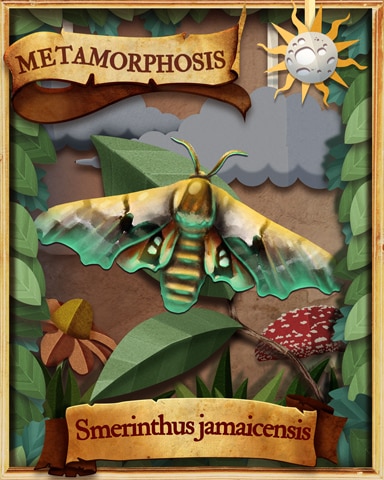 Twin Spotted Sphinx Moth Metamorphosis Badge - Spades HD