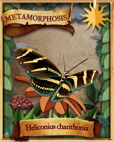 Zebra Longwing Butterfly Metamorphosis Badge - Spades HD