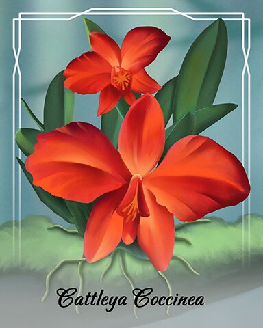 Cattleya Coccinea Orchid Badge - Tri-Peaks Solitaire HD