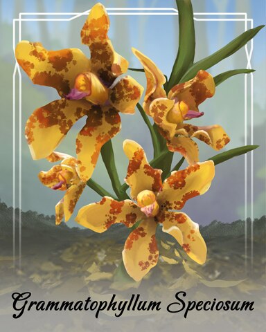 Grammatophyllum Speciosum Orchid Badge - Word Whomp HD