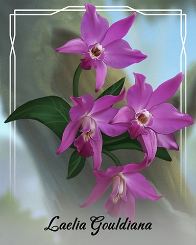 Laelia Gouldiana Orchid Badge - Tri-Peaks Solitaire HD