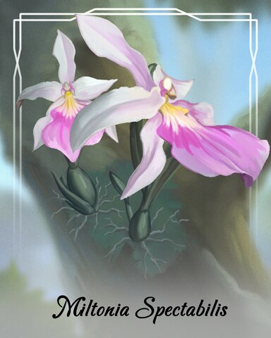 Miltonia Spectabilis Orchid Badge - World Class Solitaire HD