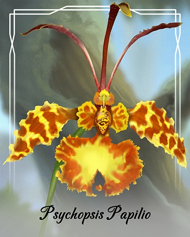Psychopsis Papilio Orchid Badge - Word Whomp HD
