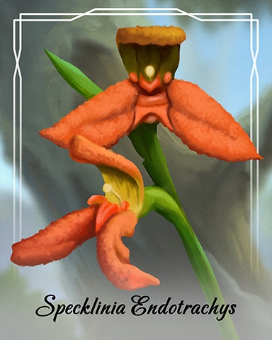 Specklinia Endotrachys Orchid Badge - Poppit! Bingo