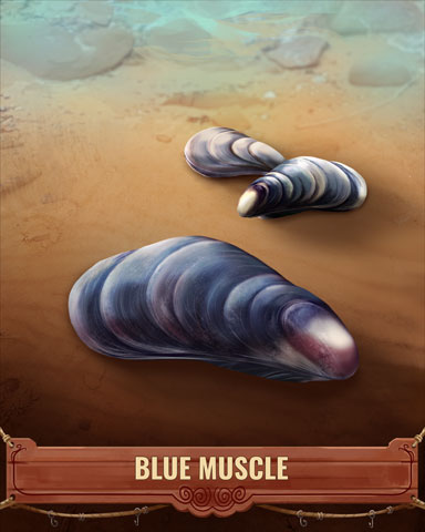 Blue Muscle Shell Badge - Tri-Peaks Solitaire HD