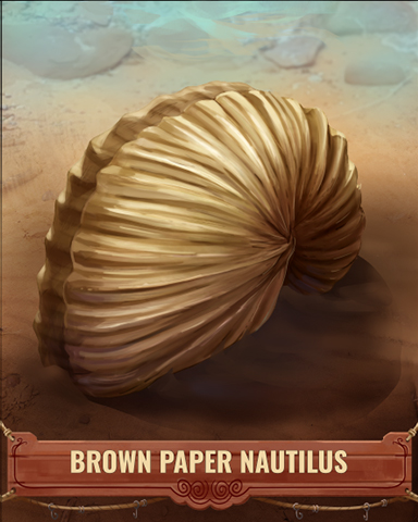 Brown Paper Nautilus Shell Badge - Mahjong Garden HD