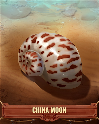 China Moon Shell Badge - Quinn's Aquarium