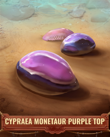 Cypraea Monetaur Purple Top Shell Badge - Pogo™ Slots