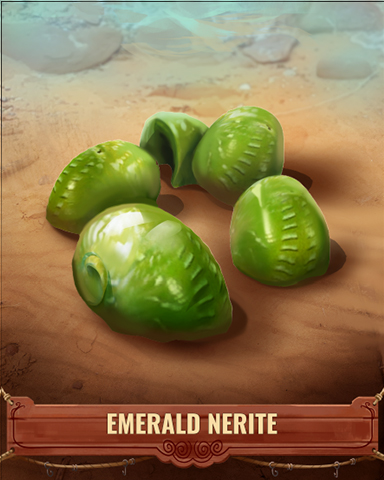 Emerald Nerite Shell Badge - Claire Hart: Secret In The Shadows