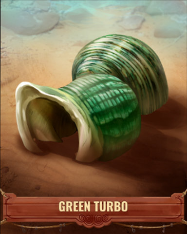 Green Turbo Shell Badge - Anagrams