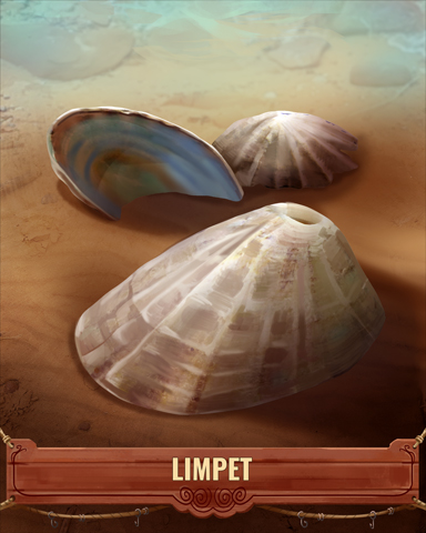 Limpet Shell Badge - Payday Freecell HD