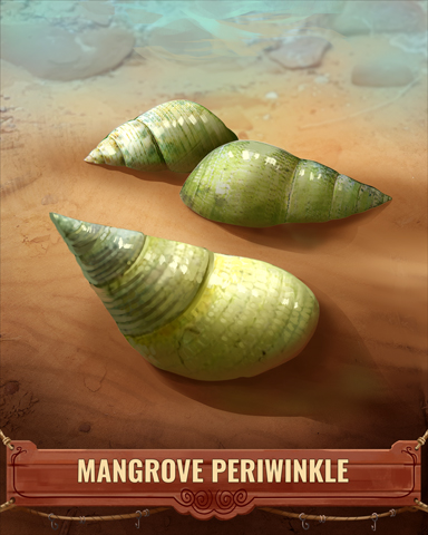 Mangrove Periwinkle Shell Badge - Poppit! Bingo