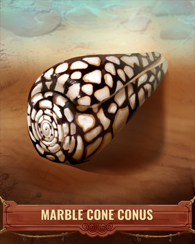 Marble Cone Conus Shell Badge - Jet Set Solitaire