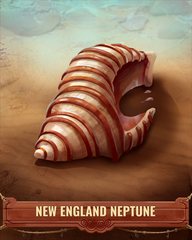 New England Neptune Shell Badge - Word Search Daily HD