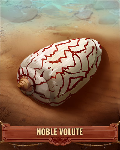 Noble Volute Shell Badge - Rainy Day Spider Solitaire HD