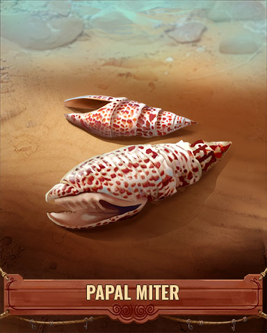 Papal Miter Shell Badge - Cookie Connect